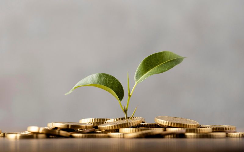 3 astuces pour optimiser vos frais pendant un festival